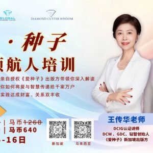爱·种子 - 创业领航人培训