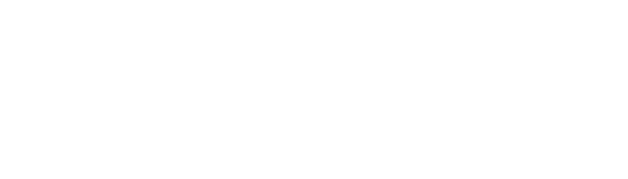 DCW White logo Trans