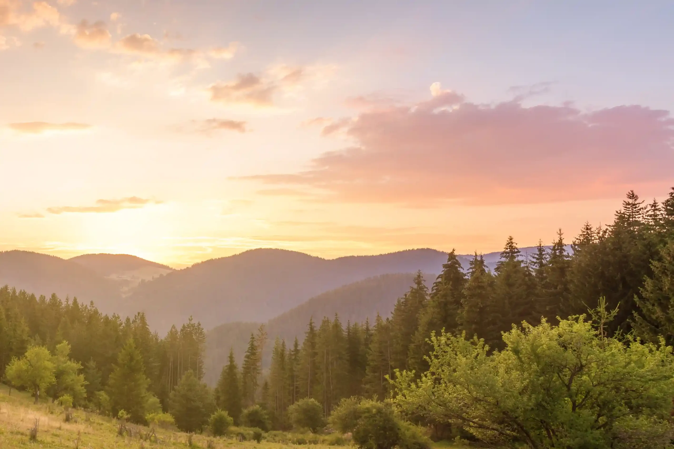 Beautiful summer landscape in the mountains with the sun at dawn - replays library hero image