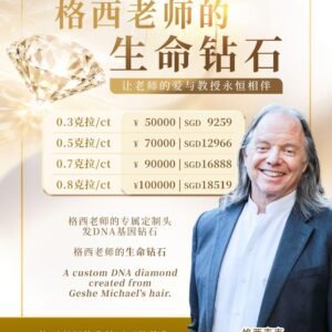 Payment For GMR Goods | GMR 货款支付 (Only SGD | 仅新币交易）